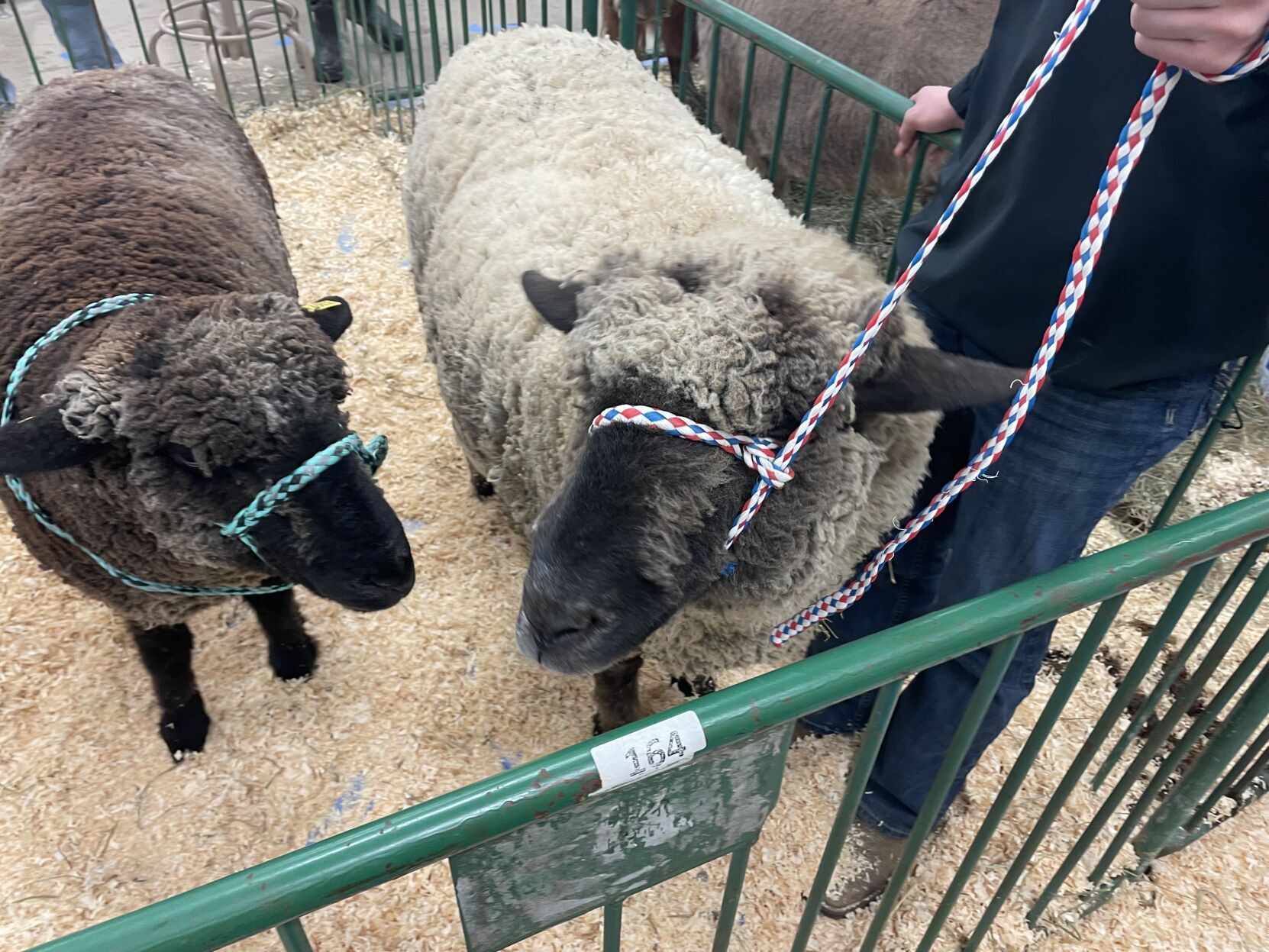 La Porte Children's Zoo